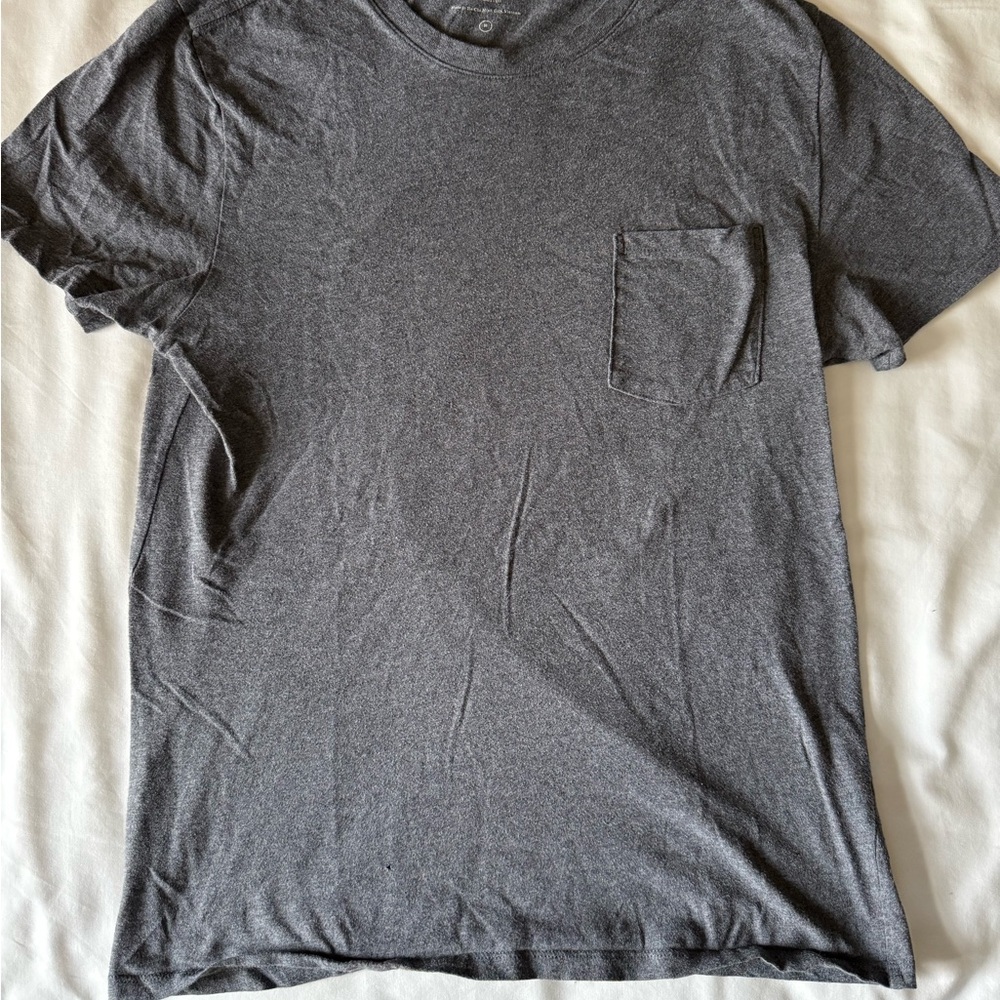 Everlane Heather Gray Crewneck Tee